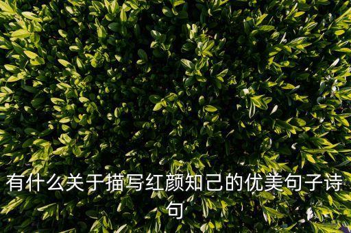 有什么关于描写红颜知己的优美句子诗句