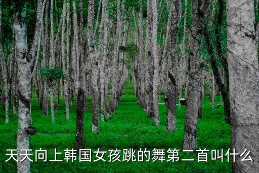 天天向上韩国女孩跳的舞第二首叫什么