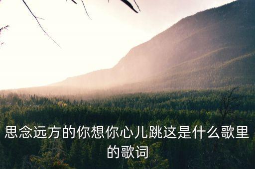 思念远方的你想你心儿跳这是什么歌里的歌词