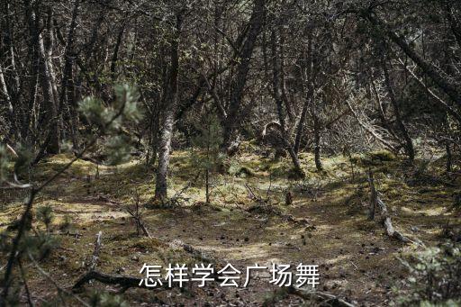 怎样学会广场舞
