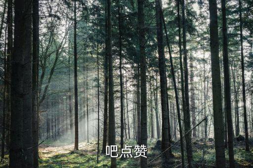 吧点赞