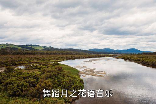 舞蹈月之花语配乐是什么，舞蹈月之花语音乐急需急需急需