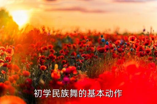 民族舞教学基础入门，中国民族民间舞初级教程