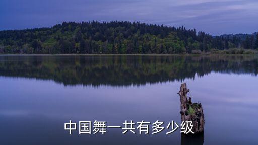中国舞一共有多少级