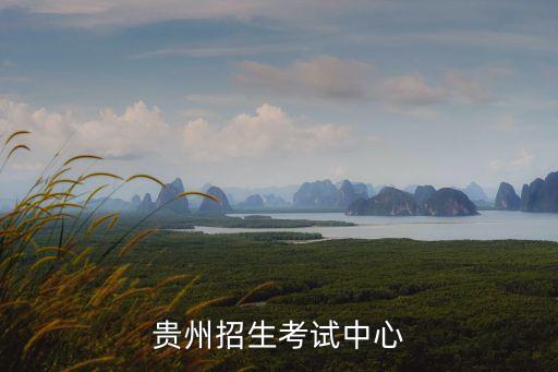 贵州招生考试中心