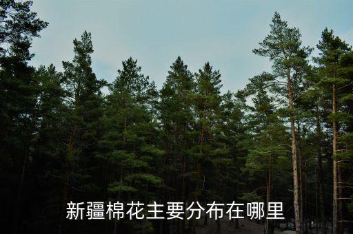 新疆棉花主要分布在哪里