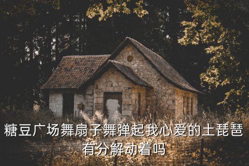 糖豆广场舞扇子舞弹起我心爱的土琵琶有分解动着吗