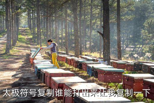 太极符号复制谁能打出来让我复制一下