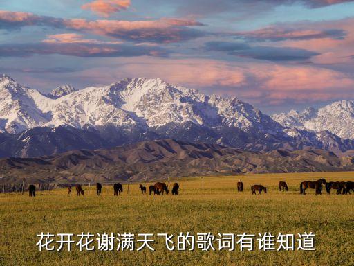 花开什么满天飞，这首歌叫什么
