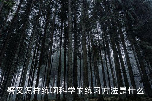 劈叉怎样练啊科学的练习方法是什么