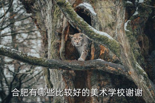 合肥清羽艺术培训学校，钢琴培训班 如何