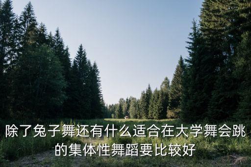 除了兔子舞还有什么适合在大学舞会跳的集体性舞蹈要比较好