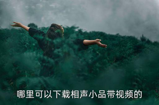 哪里可以下载相声小品带视频的