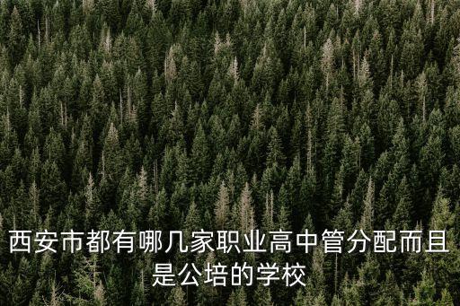 西安市都有哪几家职业高中管分配而且是公培的学校