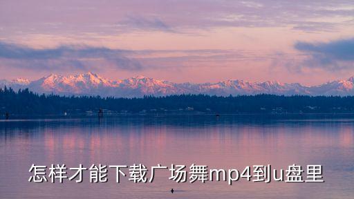 99广场舞如何下载视频，请问广场舞视频怎么下载到u盘