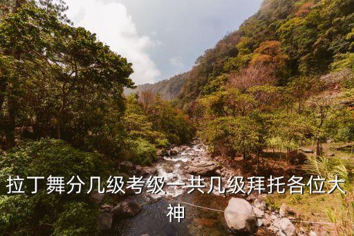 拉丁舞分几级考级一共几级拜托各位大神