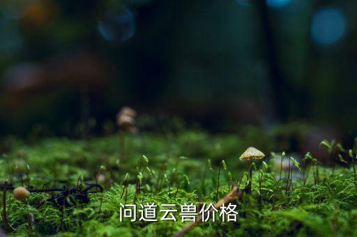 武功县哪里有学舞蹈的，问道云兽价格