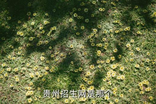 贵州招生网是那个