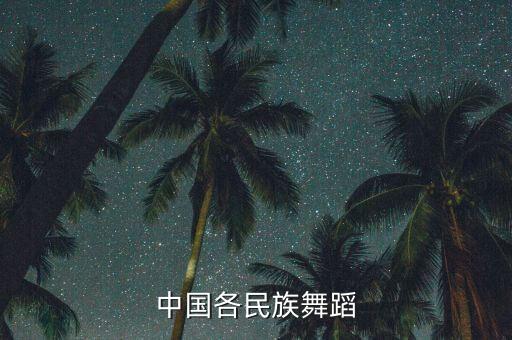 中国各民族舞蹈