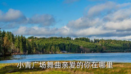 亲爱的你在哪里广场舞蹈分解动作教学，求帮忙舞蹈分解详情见下