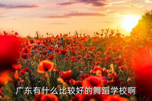 广东有什么比较好的舞蹈学校啊