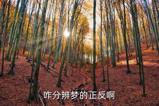 咋分辨梦的正反啊
