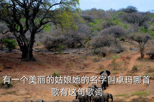 卓玛姑娘什么歌，我听别人唱着那卓玛姑娘我听别人说着你温柔善良这是首什么歌