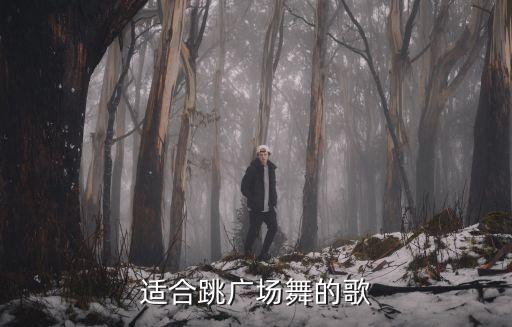 适合跳广场舞的歌