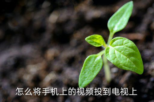 怎么将手机上的视频投到电视上