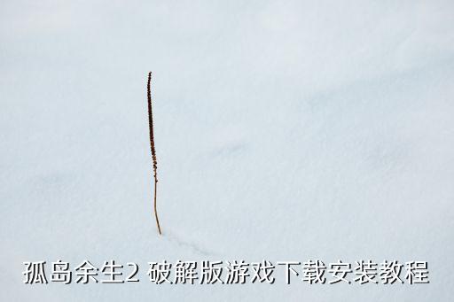 孤岛余生2 破解版游戏下载安装教程