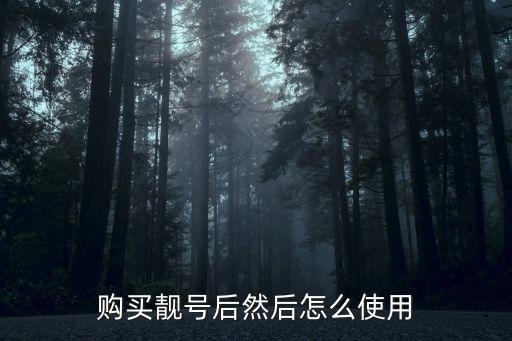 购买靓号后然后怎么使用