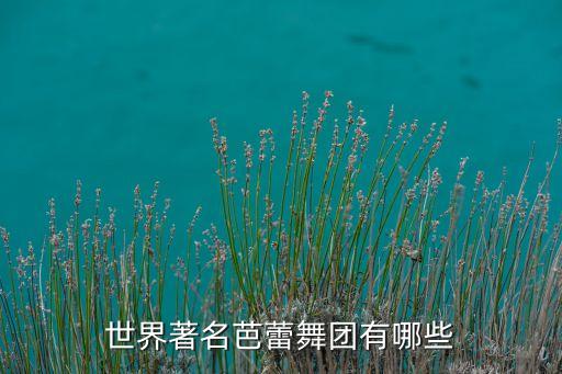 有哪些出名的舞团，世界著名芭蕾舞团有哪些