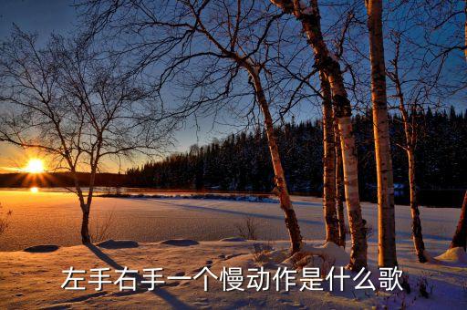 左手右手舞蹈视频是什么歌曲，左手右手慢动作的主题曲tb0ys