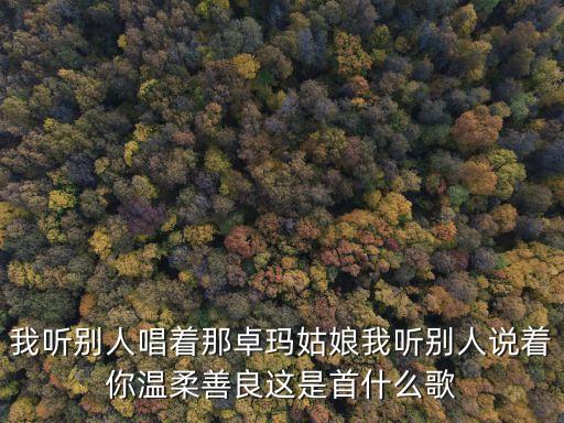 我听别人唱着那卓玛姑娘我听别人说着你温柔善良这是首什么歌