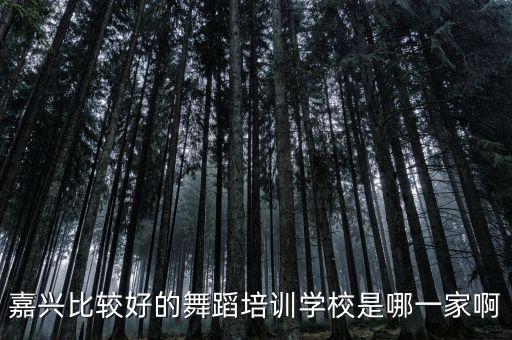 嘉兴比较好的舞蹈培训学校是哪一家啊