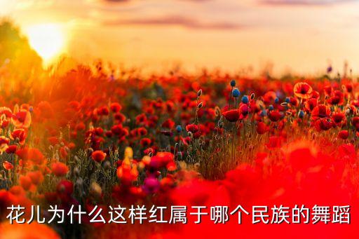 花儿为什么这样红属于哪个民族的舞蹈