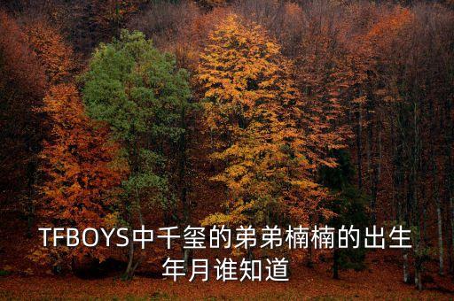 TFBOYS中千玺的弟弟楠楠的出生年月谁知道