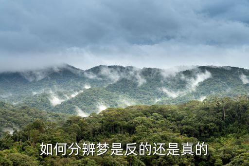 如何分辨梦是反的还是真的