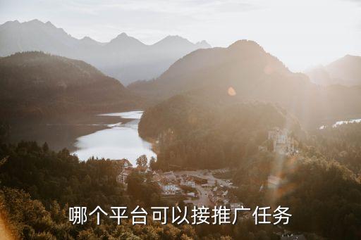 哪个平台可以接推广任务