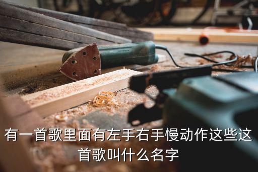 有一首歌里面有左手右手慢动作这些这首歌叫什么名字