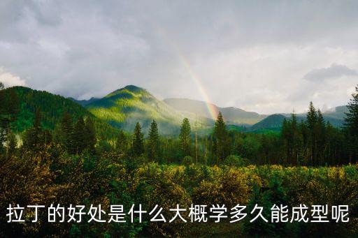 拉丁的好处是什么大概学多久能成型呢