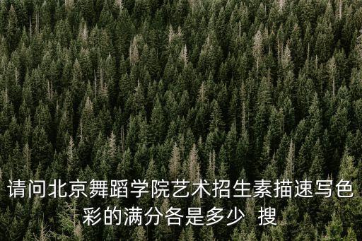 请问北京舞蹈学院艺术招生素描速写色彩的满分各是多少  搜
