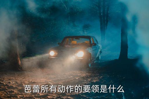 请问芭蕾怎么画，芭蕾所有动作的要领是什么