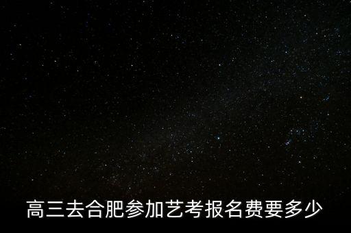 高三去合肥参加艺考报名费要多少
