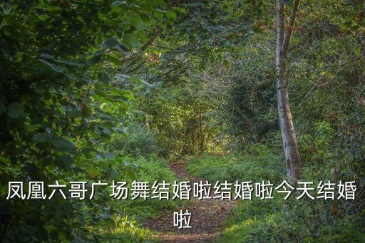 凤凰六哥广场舞结婚啦结婚啦今天结婚啦