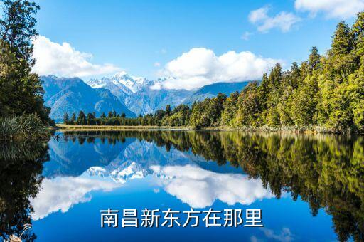 南昌新东方在那里