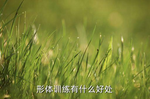 形体训练有什么好处