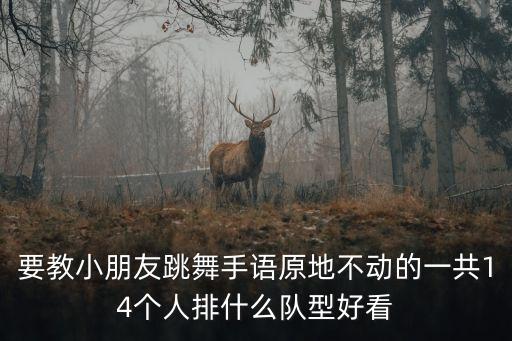要教小朋友跳舞手语原地不动的一共14个人排什么队型好看