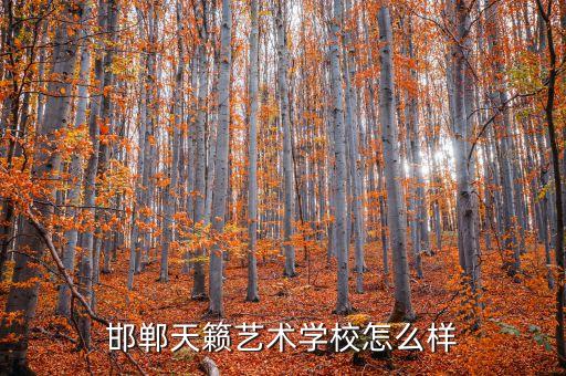 邯郸天籁艺术学校怎么样