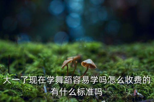 舞蹈培训学校收费标准文件最新，大一了现在学舞蹈容易学吗怎么收费的有什么标准吗